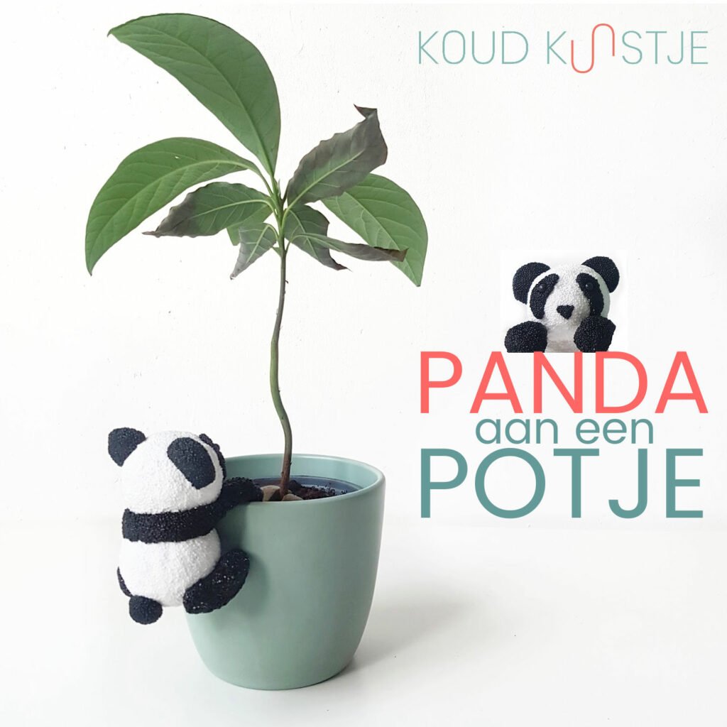 Knutselpakket Panda-aan-een-Potje - Koud kunstje